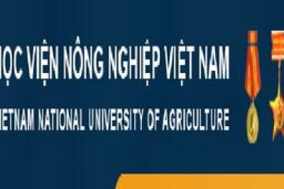 Thông báo tuyển sinh đại học hệ chính quy năm 2023